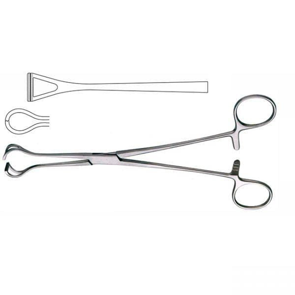 Babcock Tissue Forcep