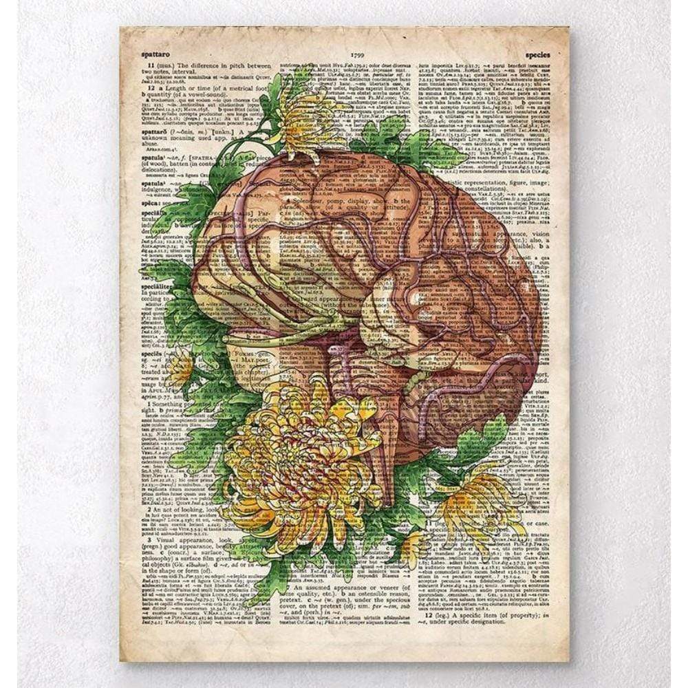Brain With Flowers Old Dictionary Page