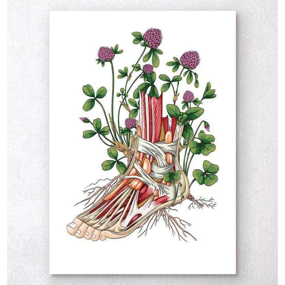 Floral Foot Anatomy