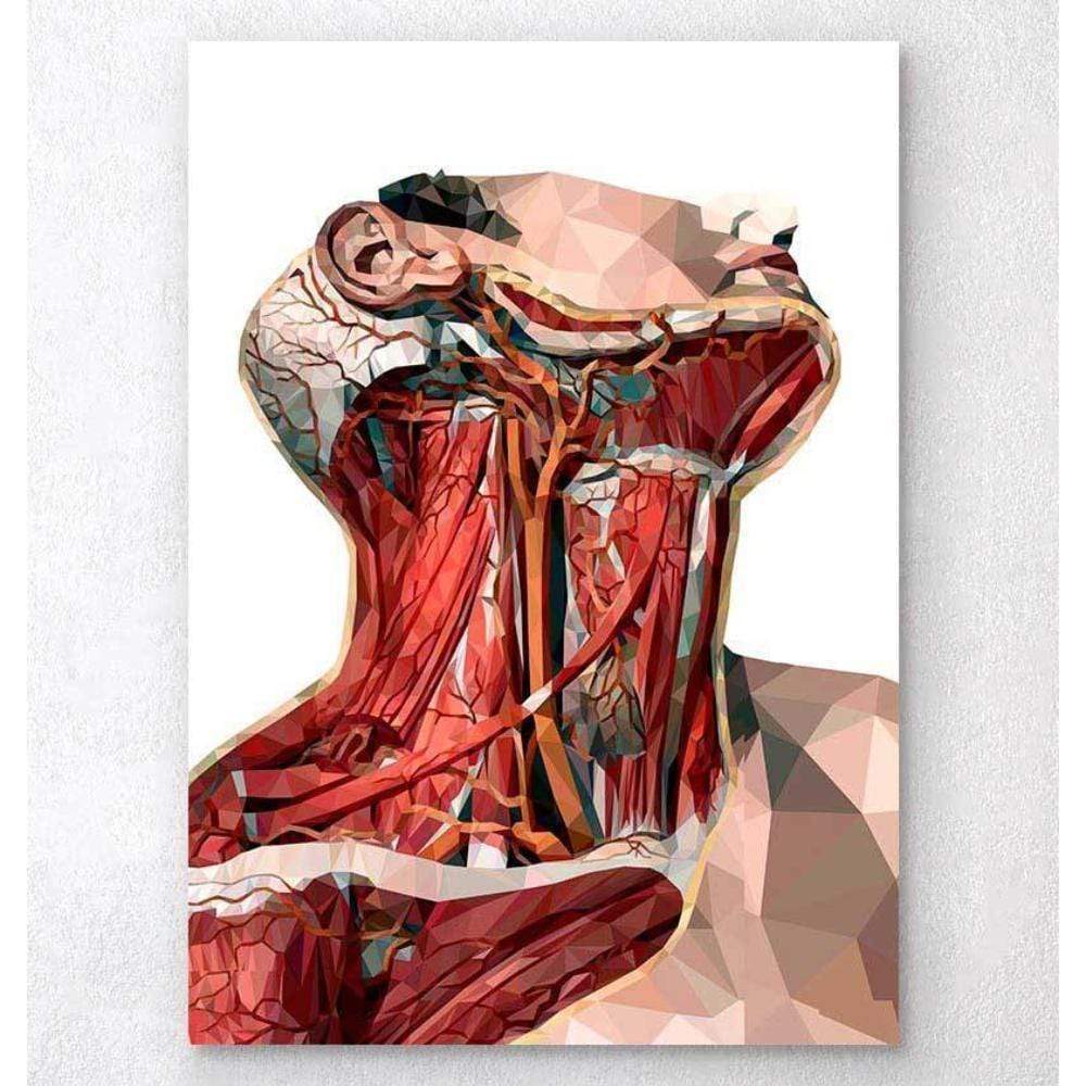 Geometric Neck Anatomy Art