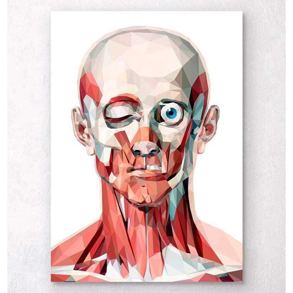 Geometrical Face Anatomy I