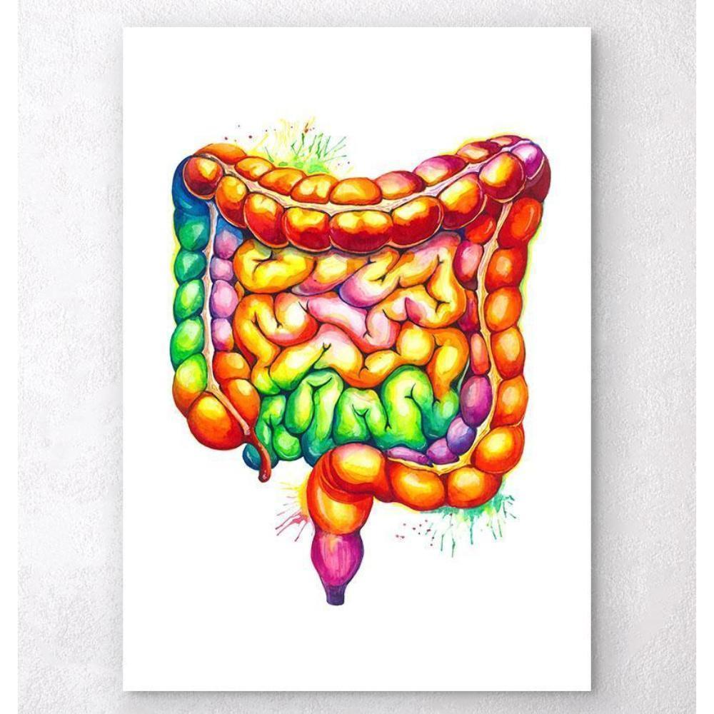 Intestines Anatomy Art Watercolor Splash