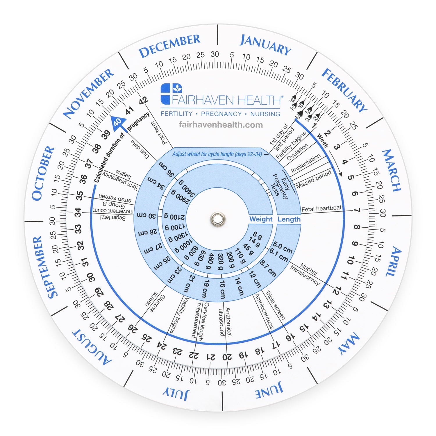 Ovulation Calendar
