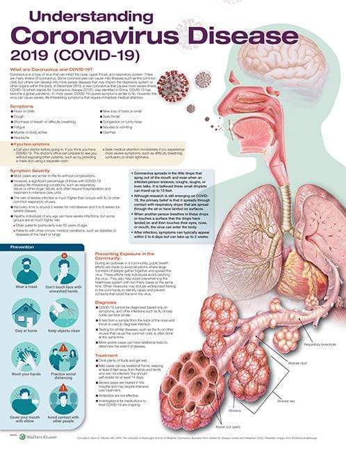 Anatomical chart - Understanding Coronavirus Disease 2019 (COVID-19)