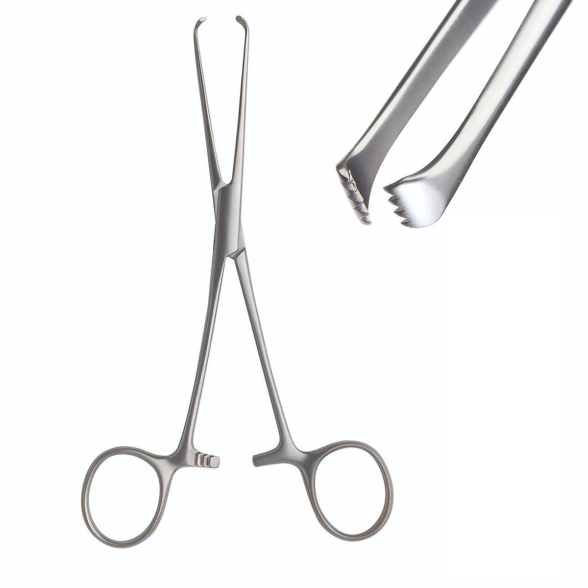 Armo Allis Forceps