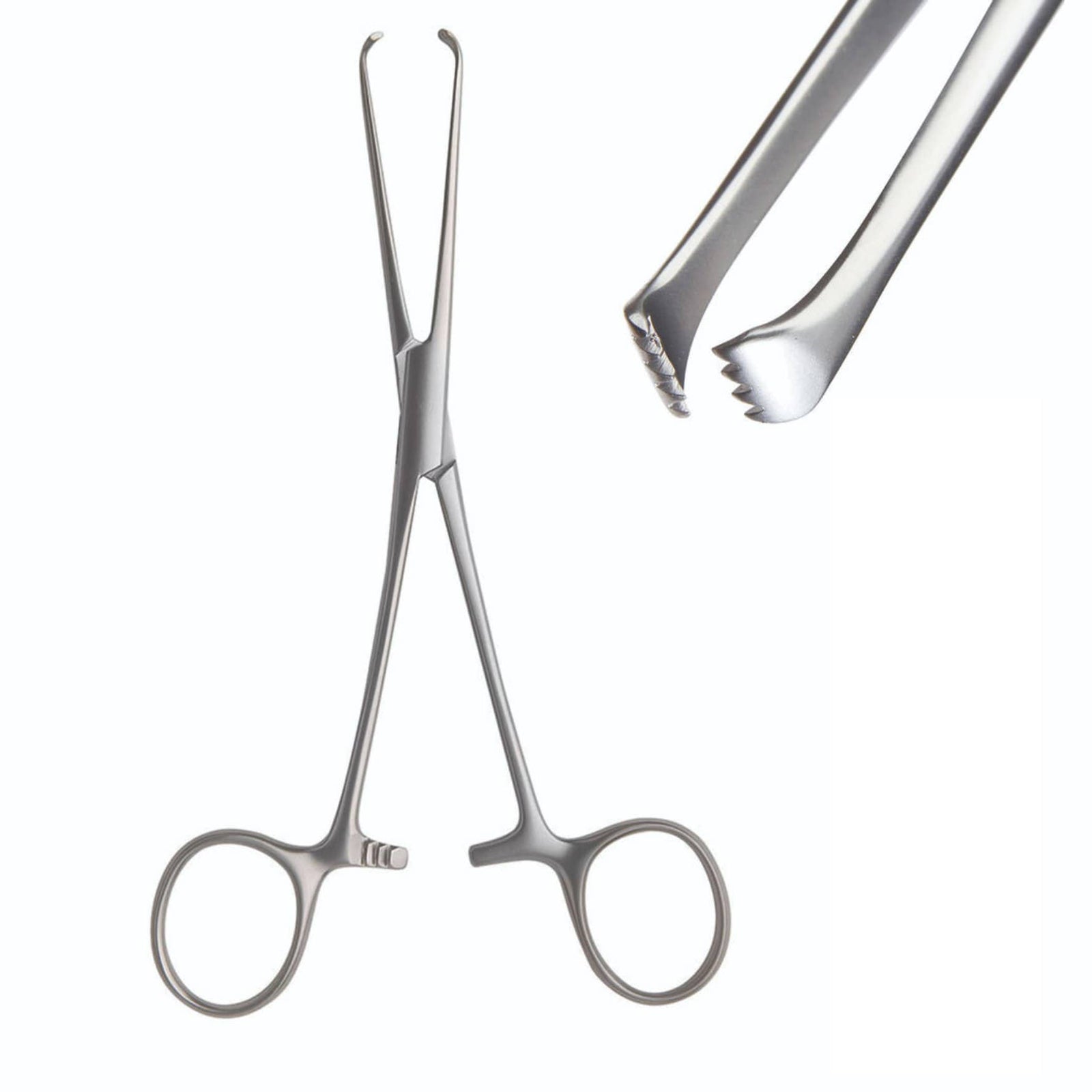 Armo Allis Forceps
