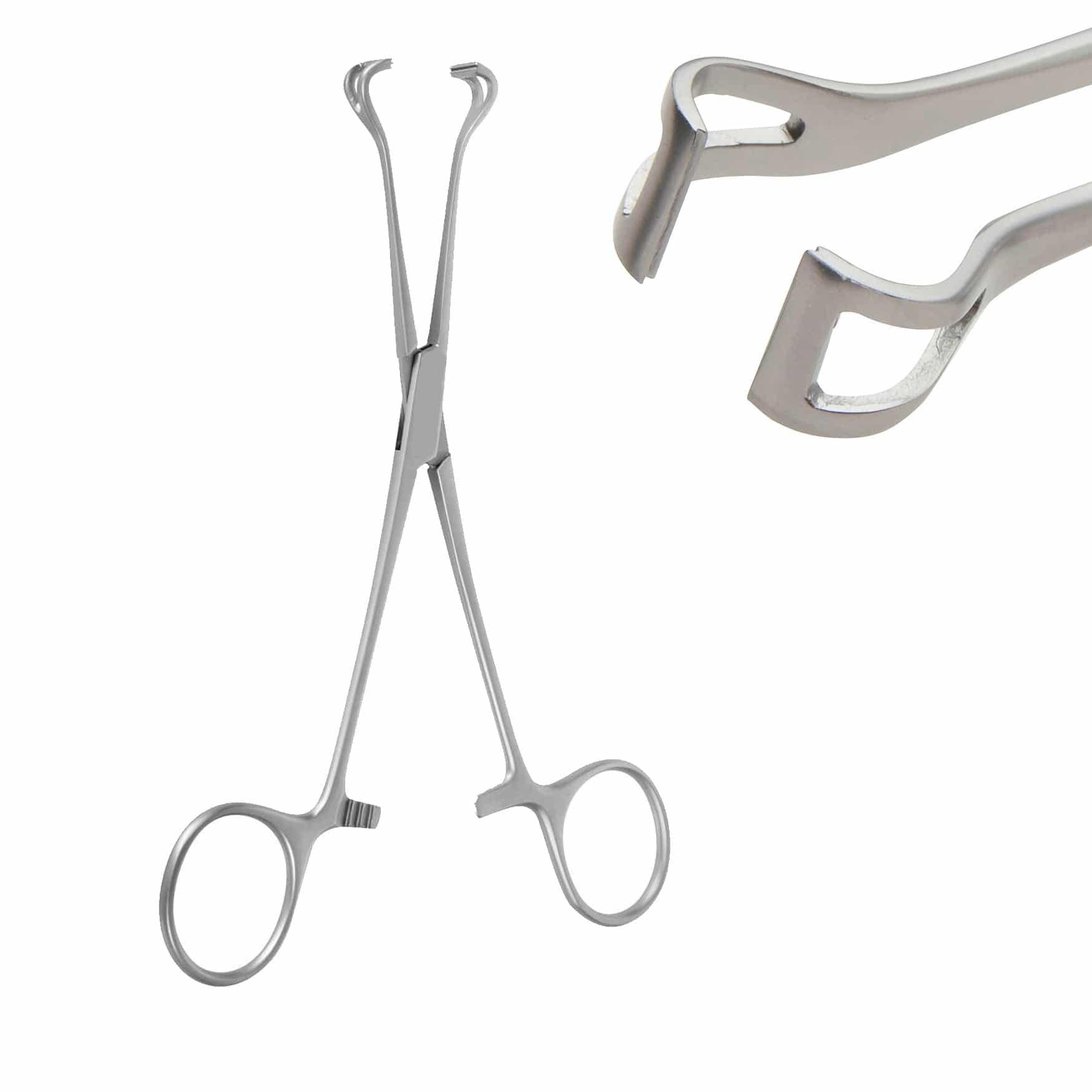 Armo Surgical Instruments 16cm / Straight Armo Babcock Tissue Forceps