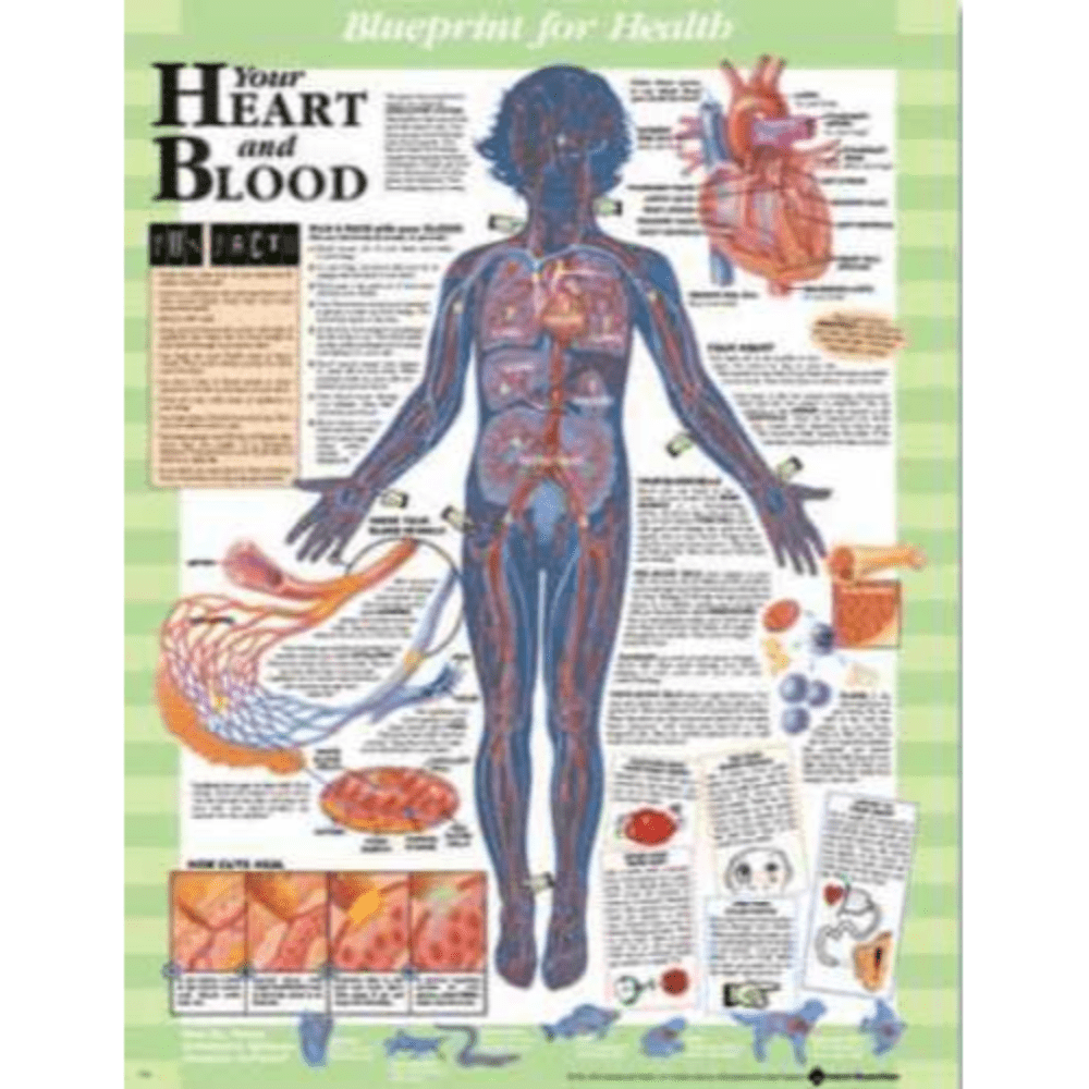 Blueprint for Health Your Heart and Blood Chart