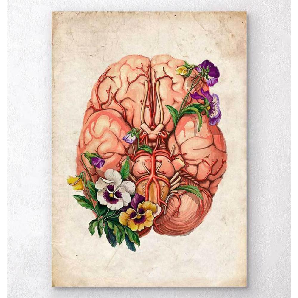 Brain Anatomy Floral Old Paper
