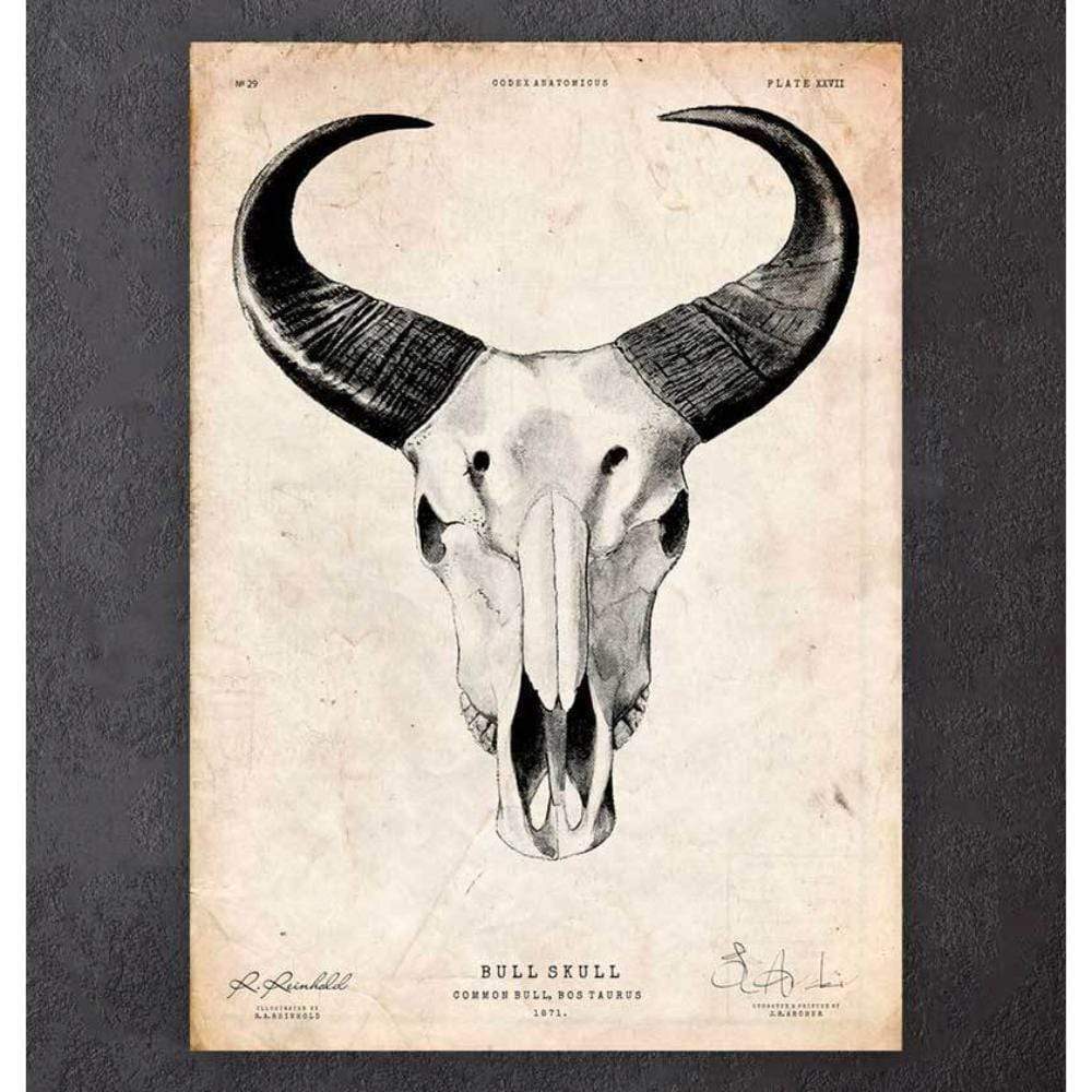 Bull Skull Print II