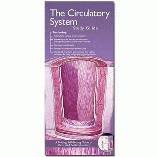 Circulatory System Study Guide
