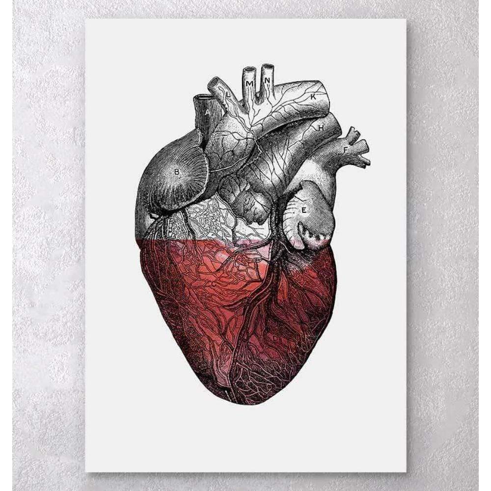 Colorful Heart Red