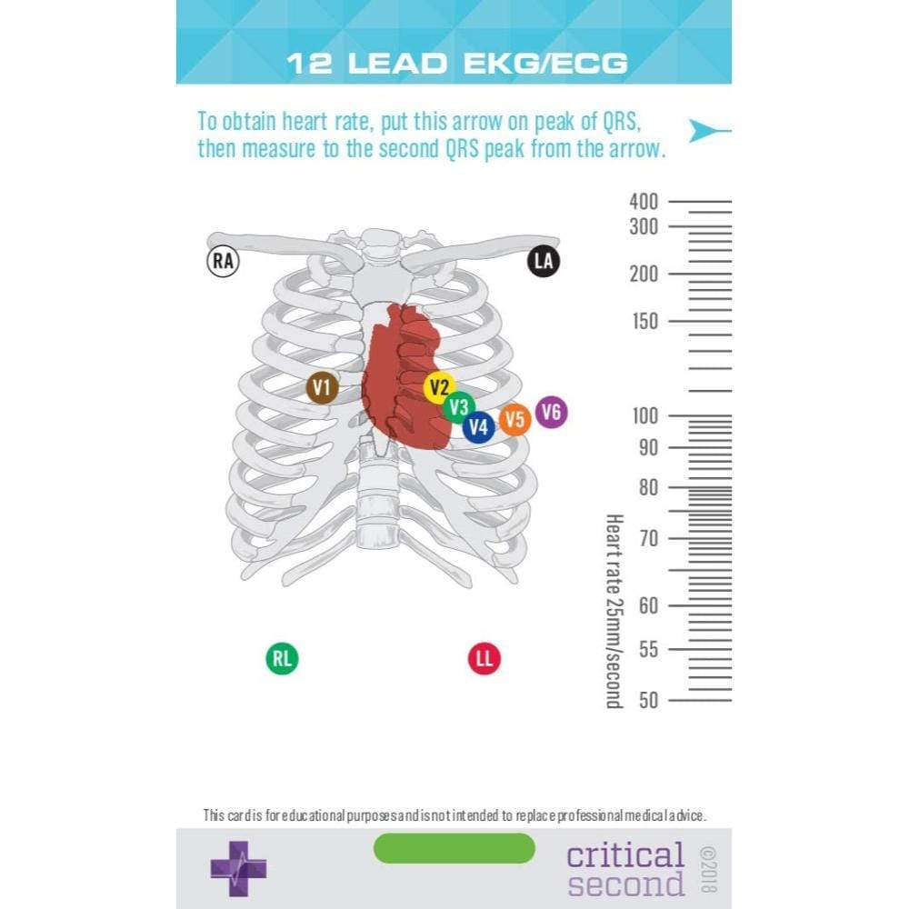 Complete Nurse Pack - Education Cards