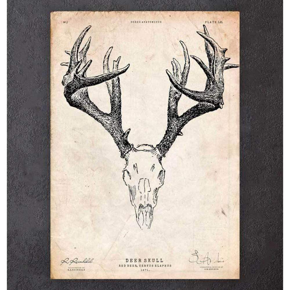 Deer Skull Print