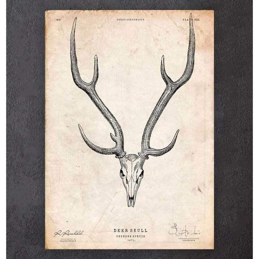 Deer Skull Print II