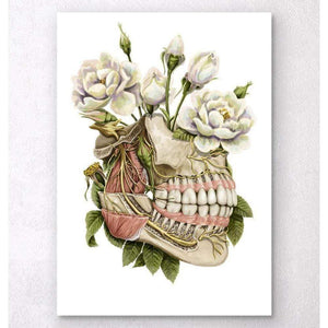 Dental Anatomy Floral