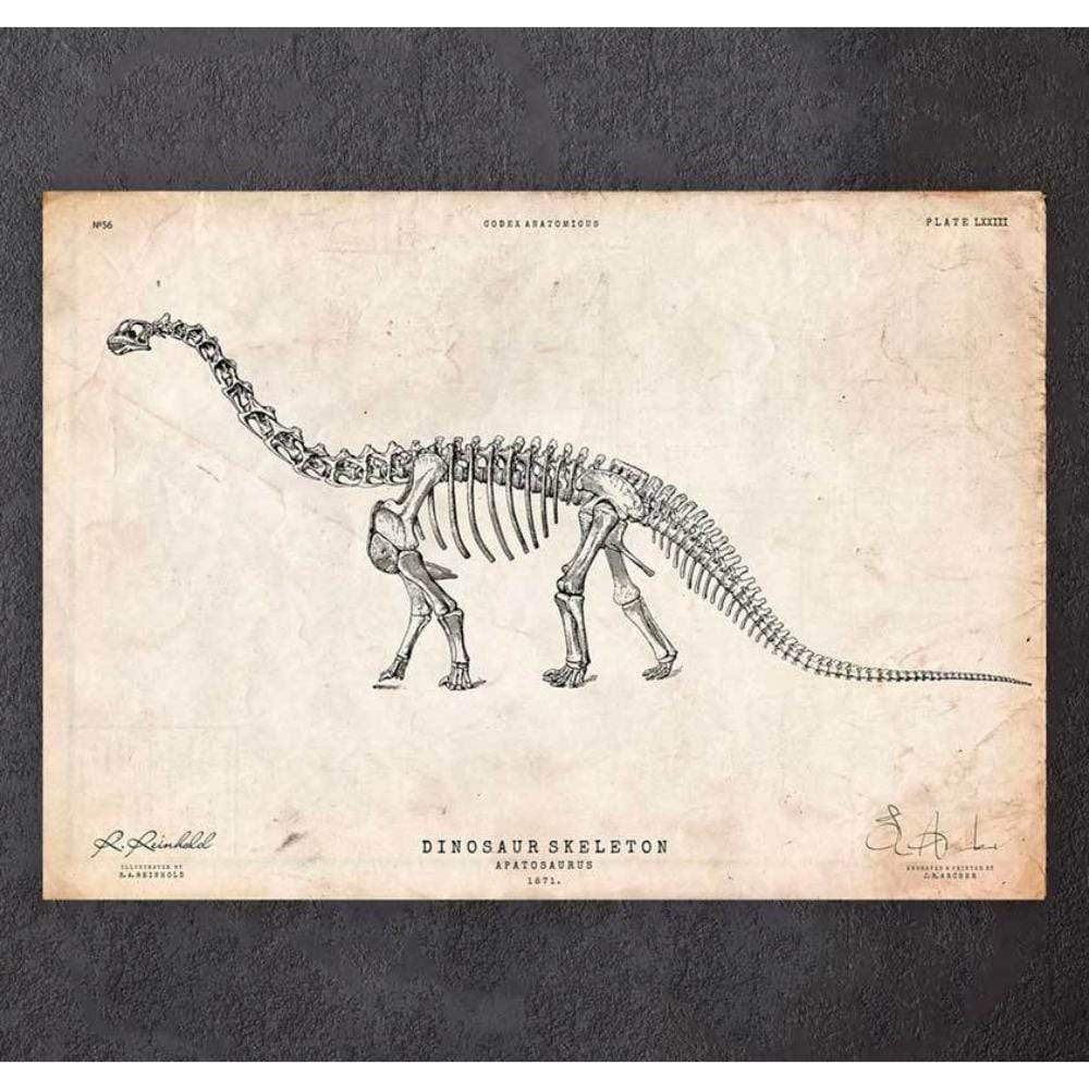 Dinosaur Skeleton Print Apatosaurus