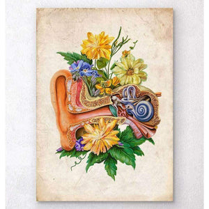 Ear Anatomy Floral Old Paper