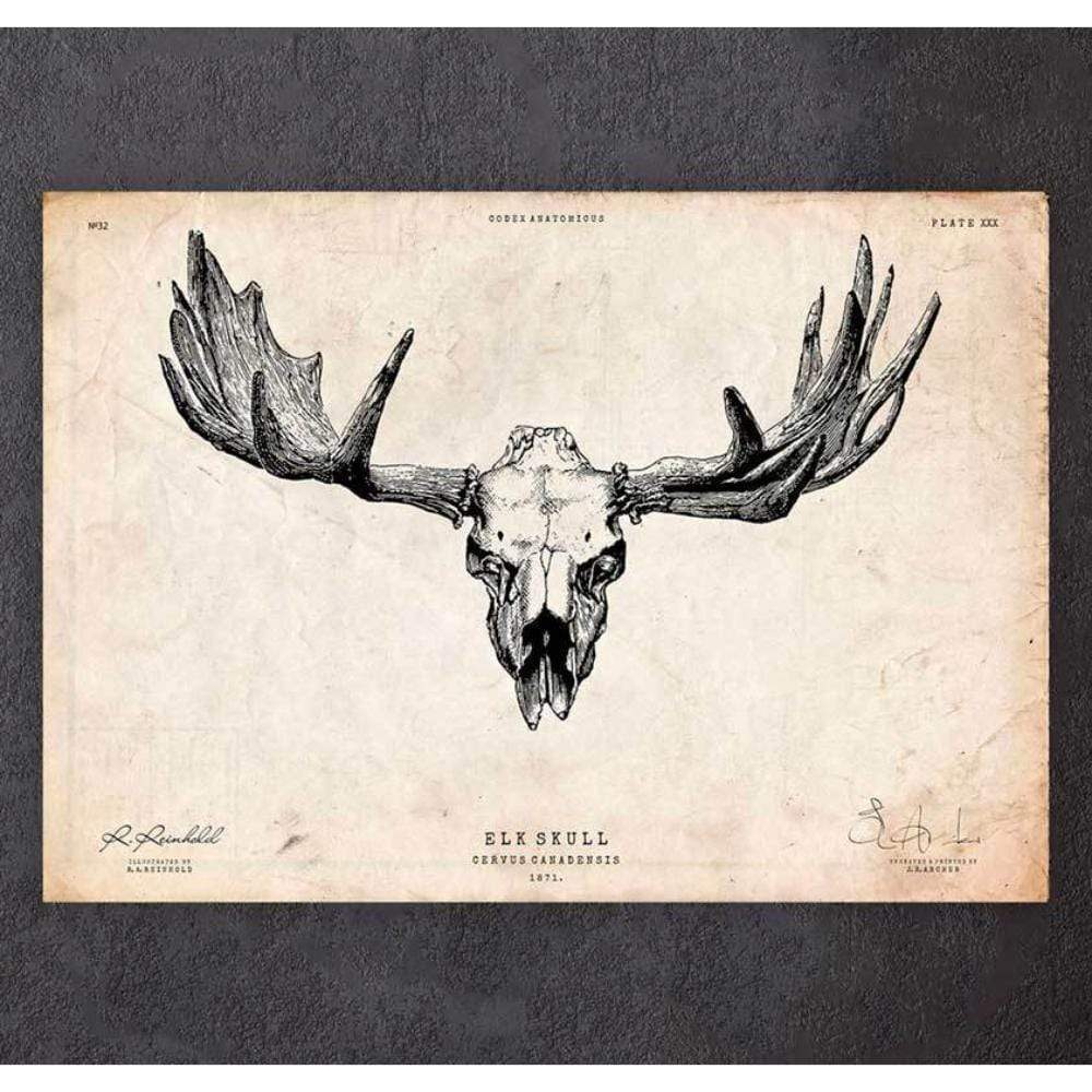 Elk Skull Print