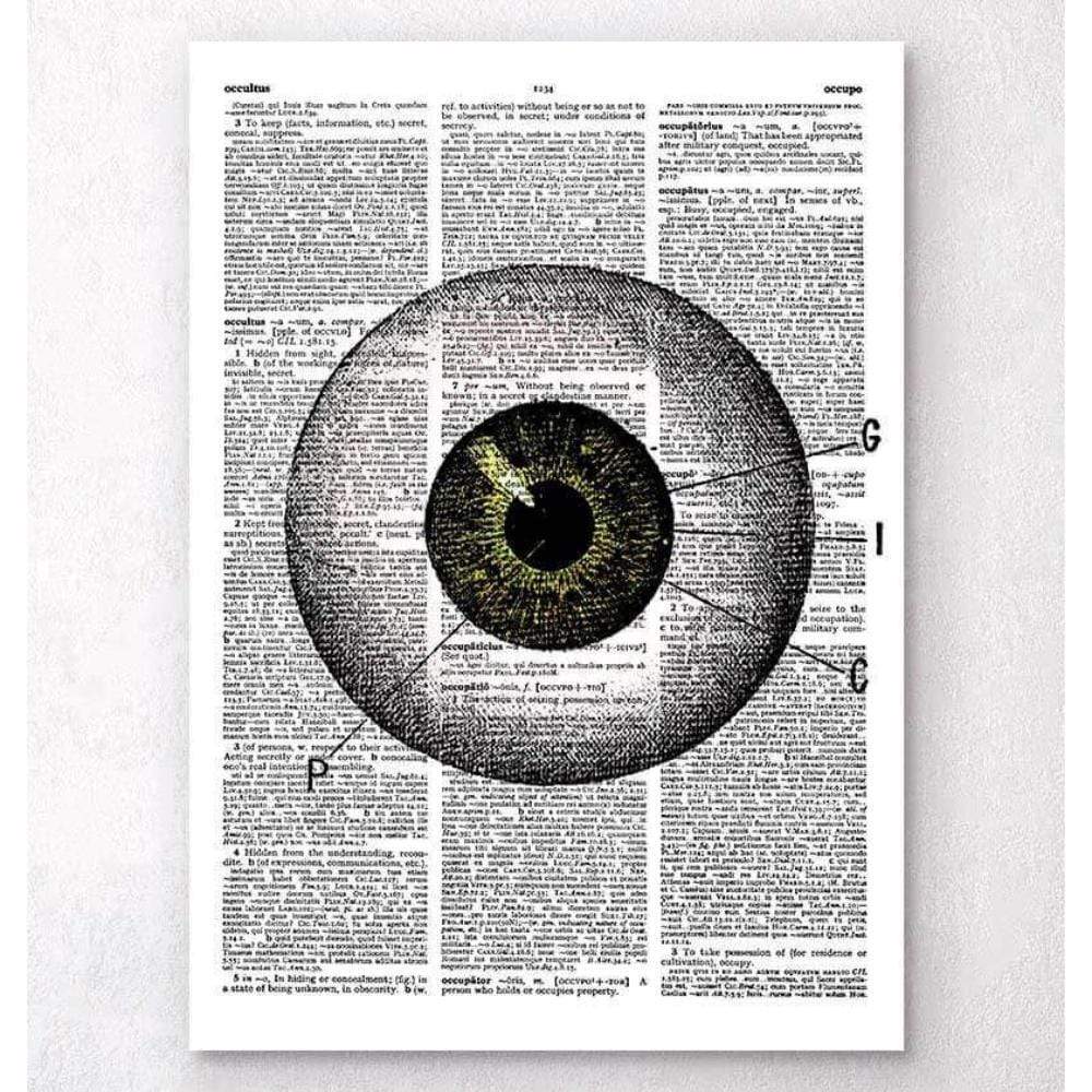 Eye Anatomy Dictionary Page