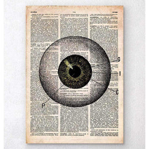Eye Anatomy Old Dictionary Page
