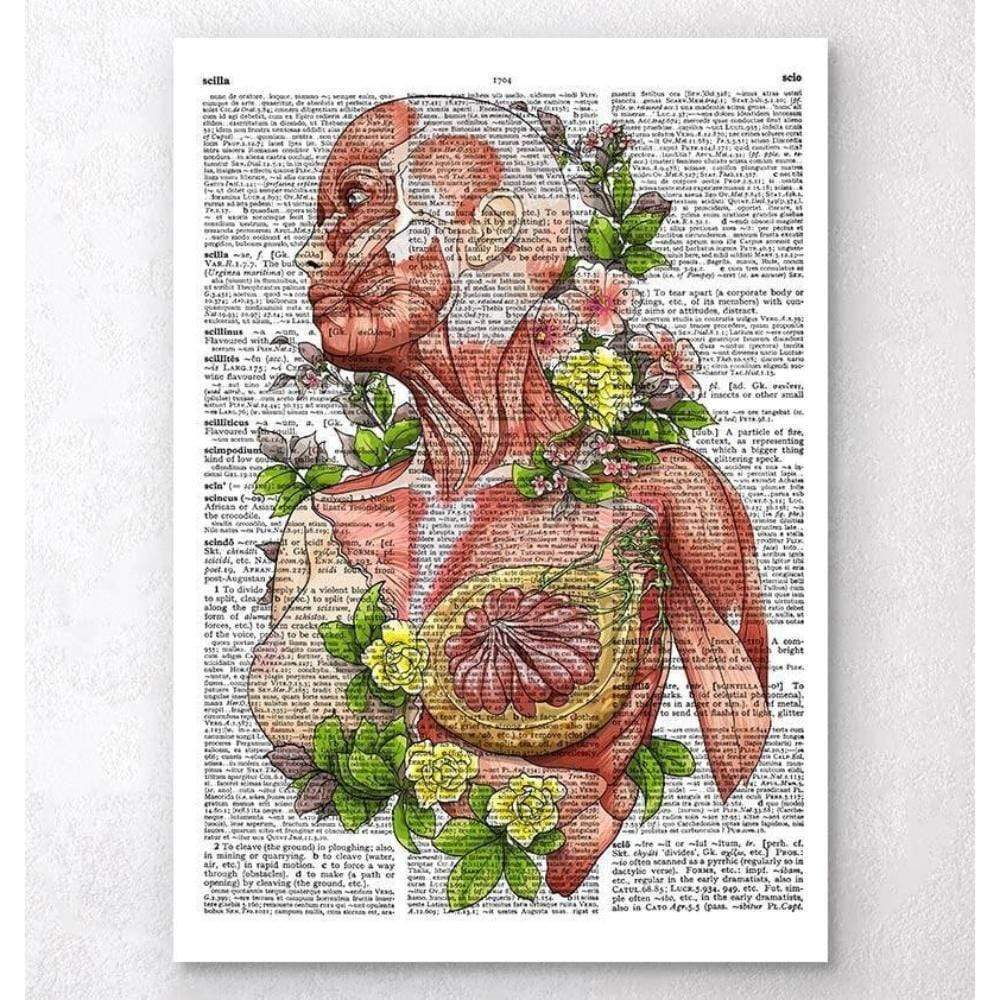 Female Body Anatomy Art Dictionary Page