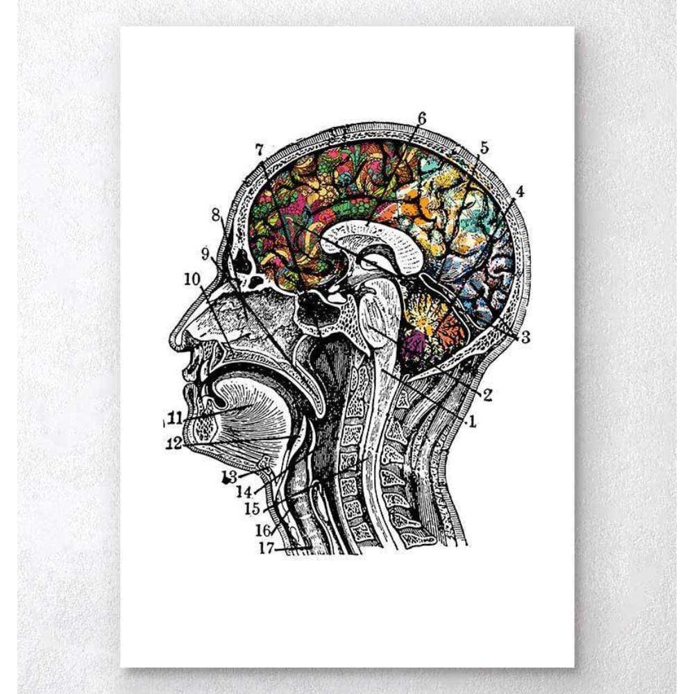 Floral Brain Art White Background