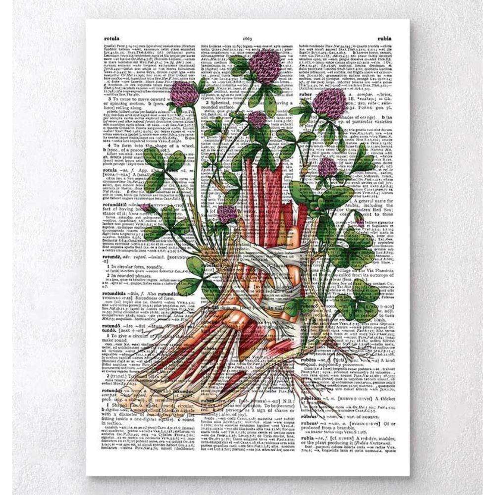 Floral Foot Anatomy Dictionary Page