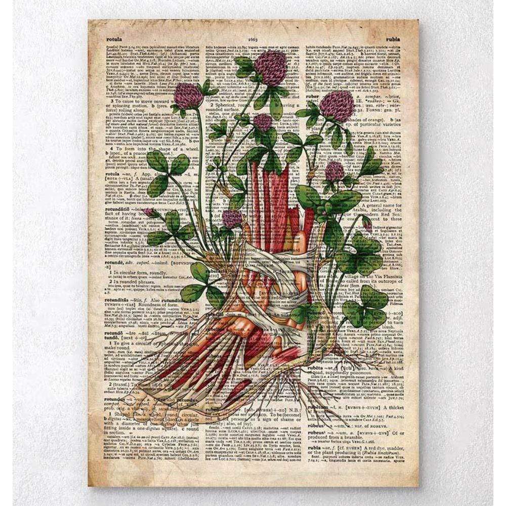 Floral Foot Anatomy Old Dictionary Page