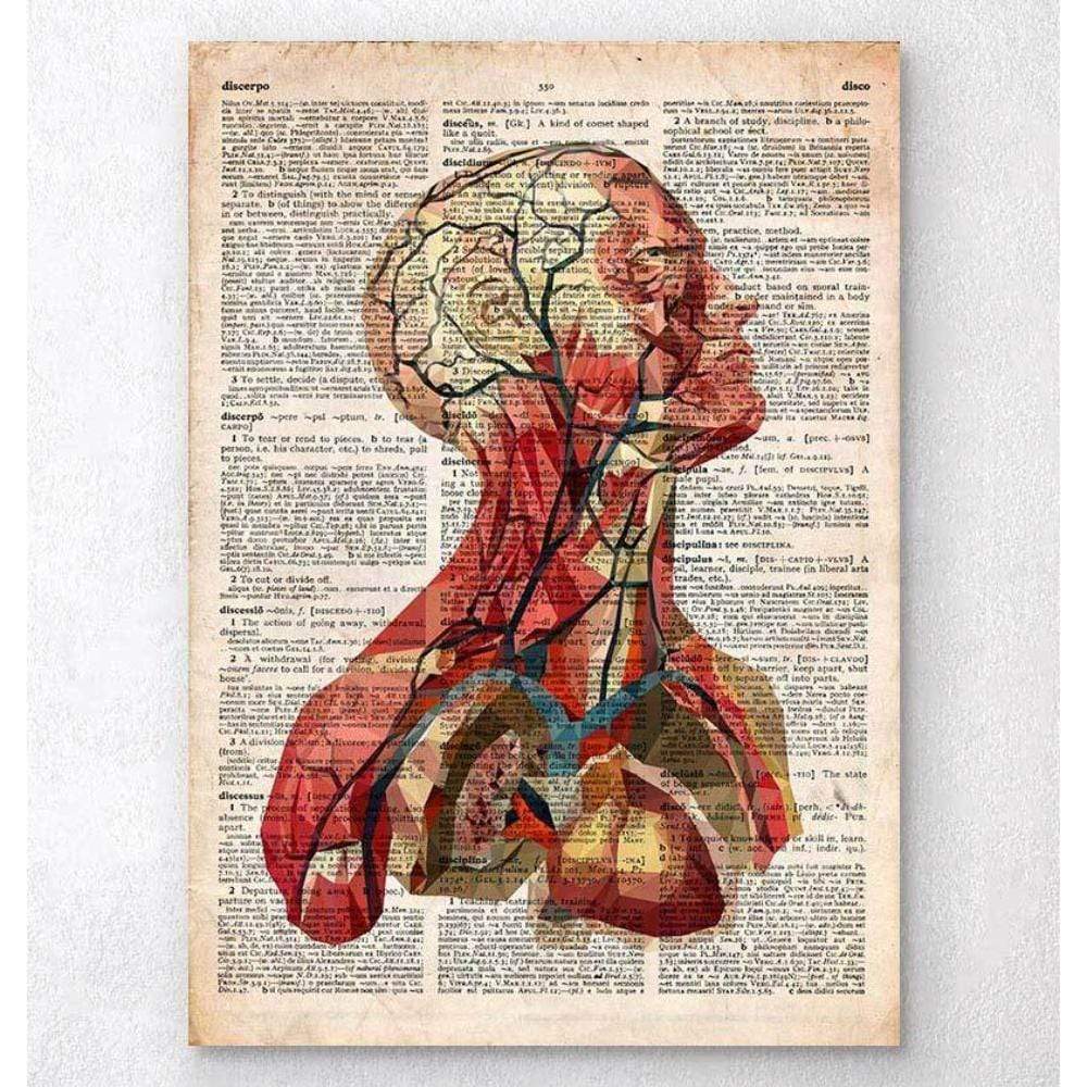 Geometric Head Anatomy II Old Dictionary Page