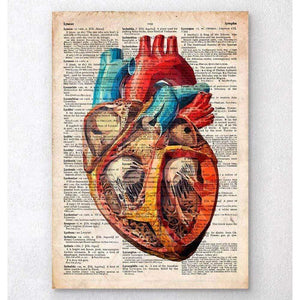 Geometric Heart Anatomy Old Dictionary Page