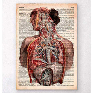 Geometric Human Anatomy Old Dictionary Page
