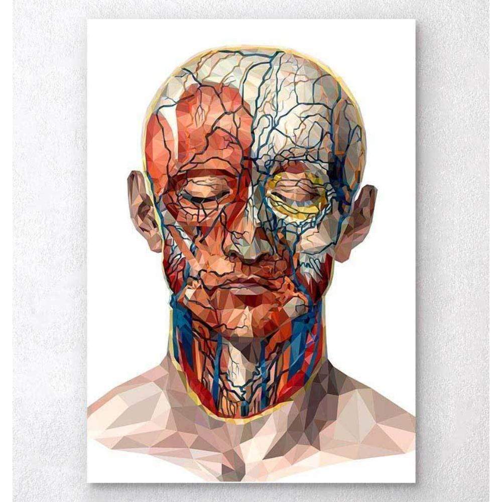 Geometrical Face Anatomy II