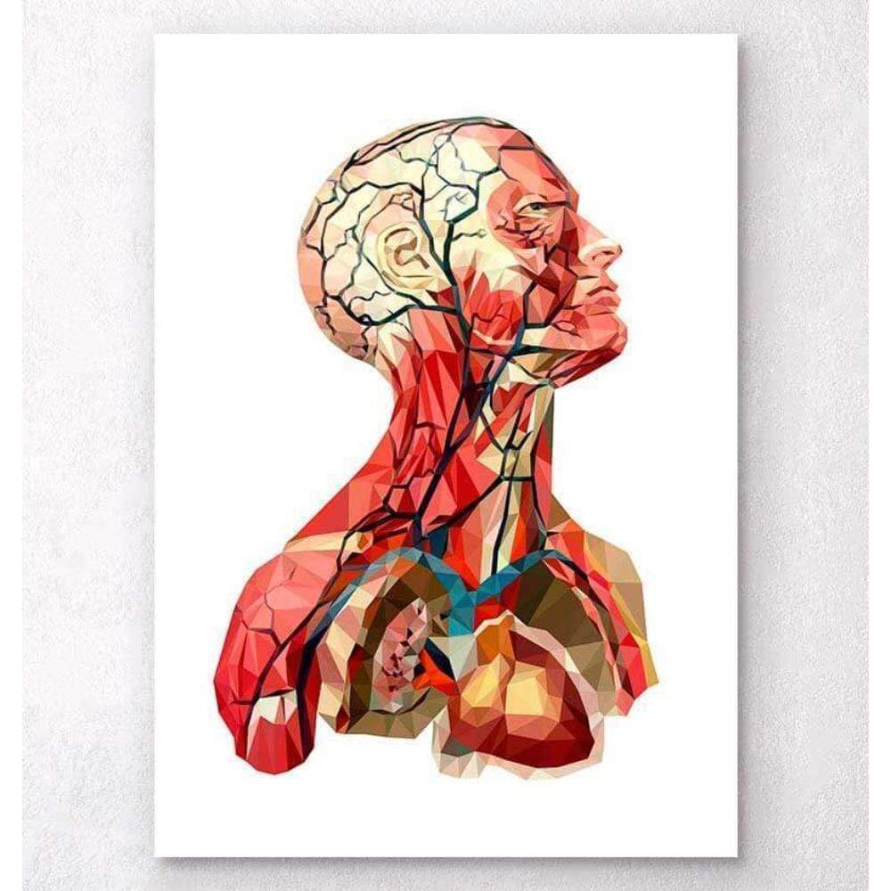 Geometrical Head Anatomy II