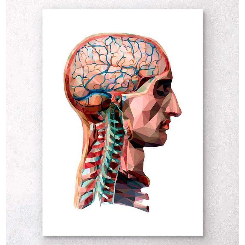 Geometrical Head And Brain