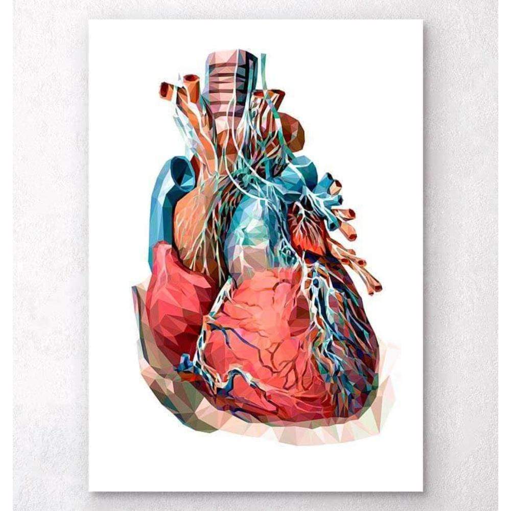 Geometrical Heart Anatomy III