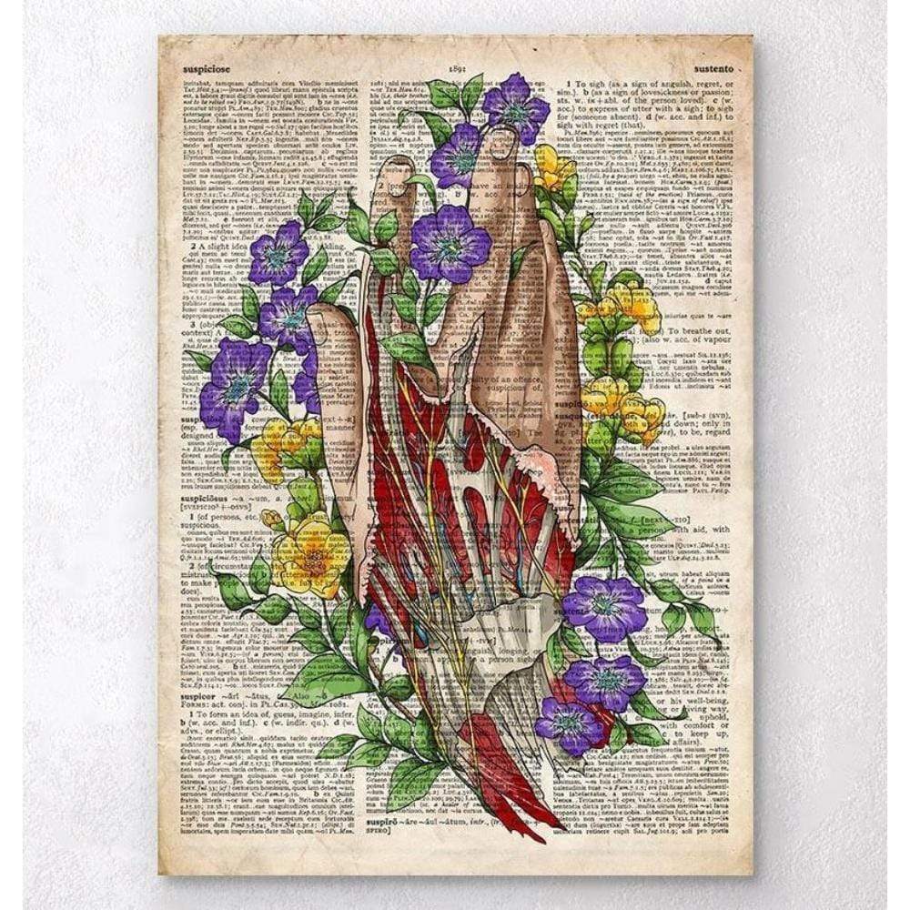 Hand Anatomy Art Old Dictionary Page