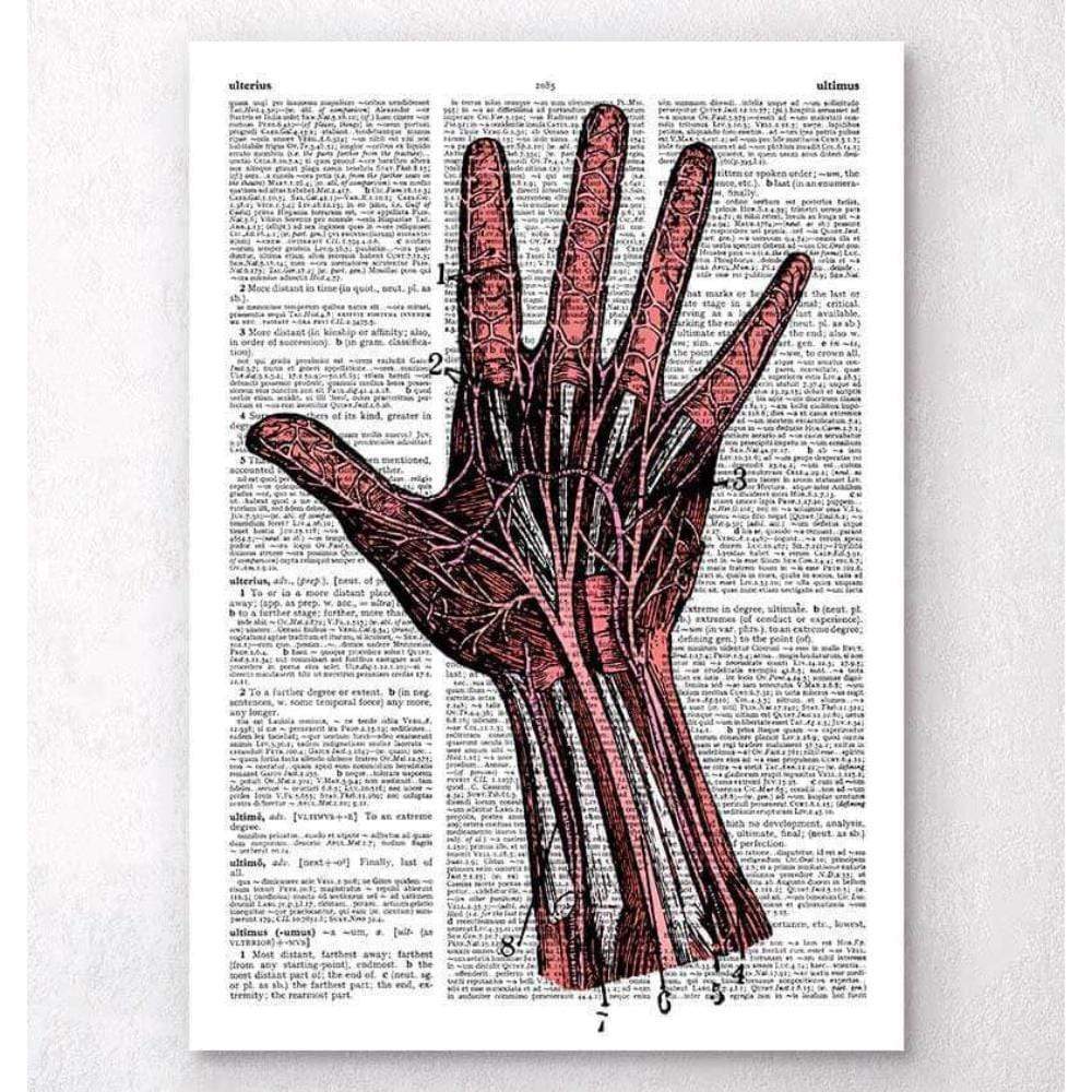 Hand Anatomy Dictionary Page