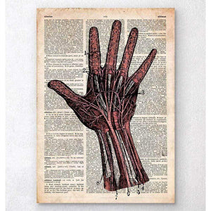 Hand Anatomy Old Dictionary Page