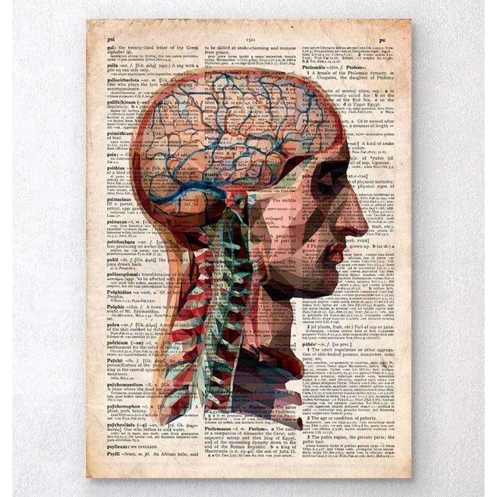 Head And Brain Anatomy Old Dictionary Page