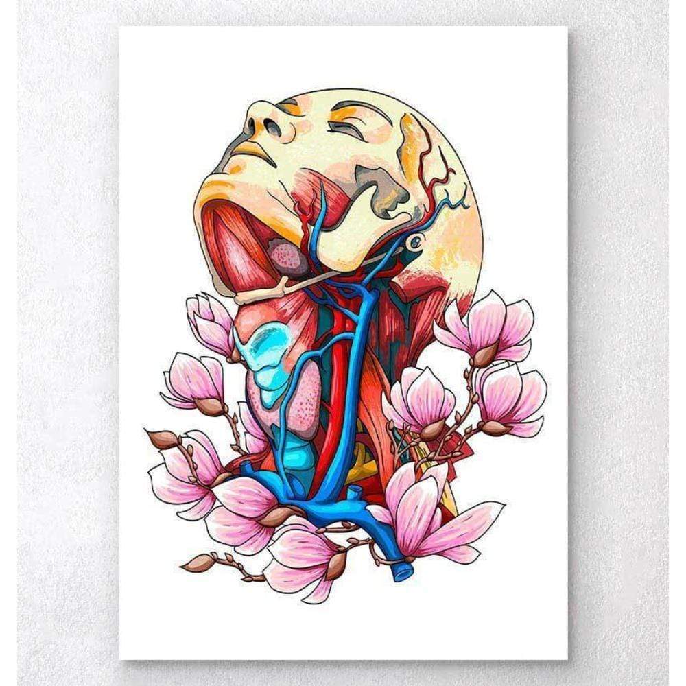 Head, Neck And Arteries Floral Anatomy