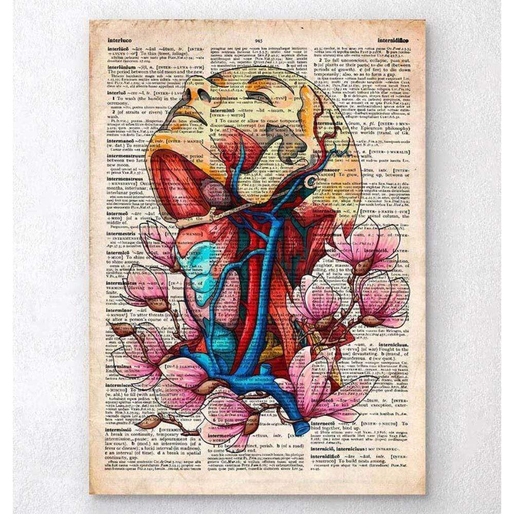 Head, Neck And Arteries Old Dictionary Page
