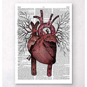 Heart Anatomy Dictionary Page