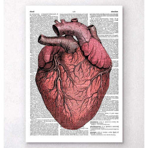Heart Anatomy II Dictionary Page