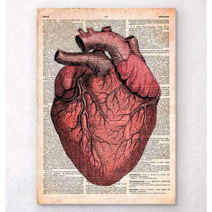 Heart Anatomy Old Dictionary Page