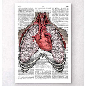 Heart And Lungs Dictionary Page