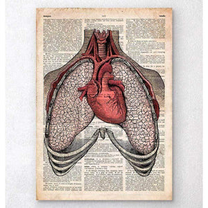 Heart And Lungs Old Dictionary Page