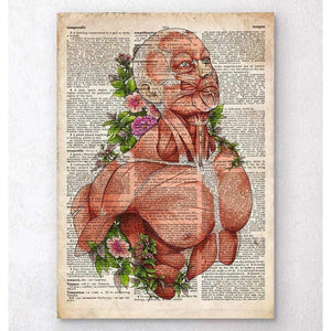 Male Body Anatomy Art Old Dictionary
