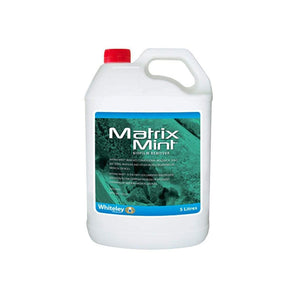 Matrix Mint Biofilm Remover Mint Fragrance