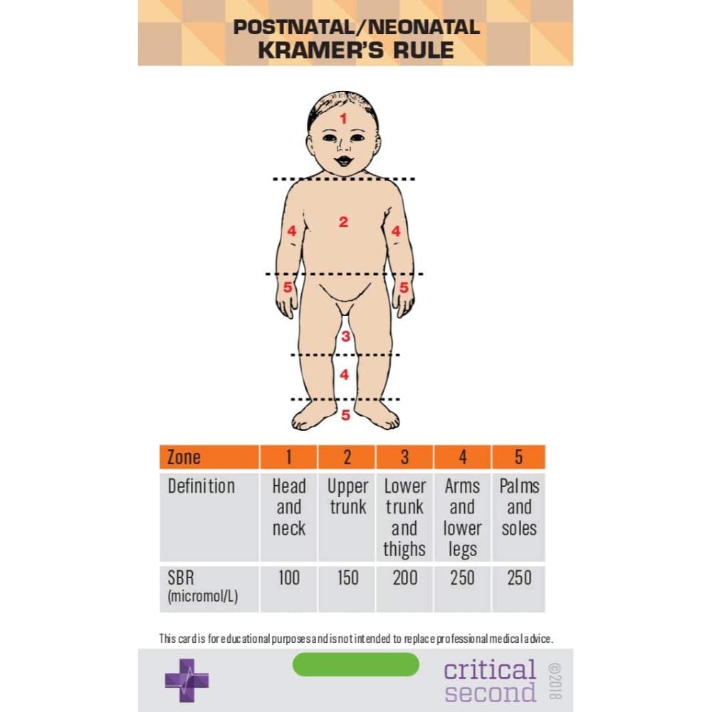 Midwifery Pack - Education Cards